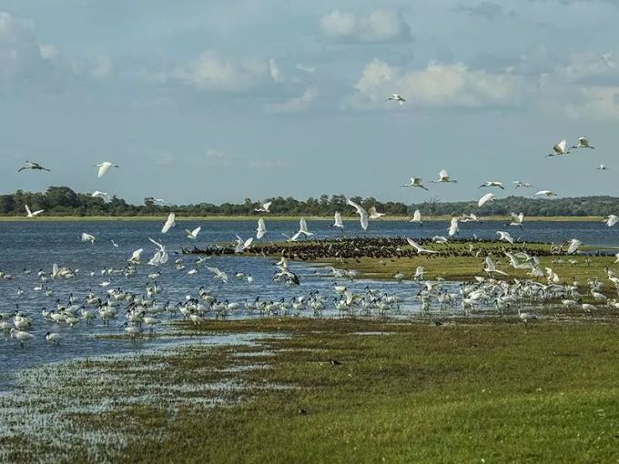 斯里兰卡球队精彩进球，锁定小组头名的简单介绍